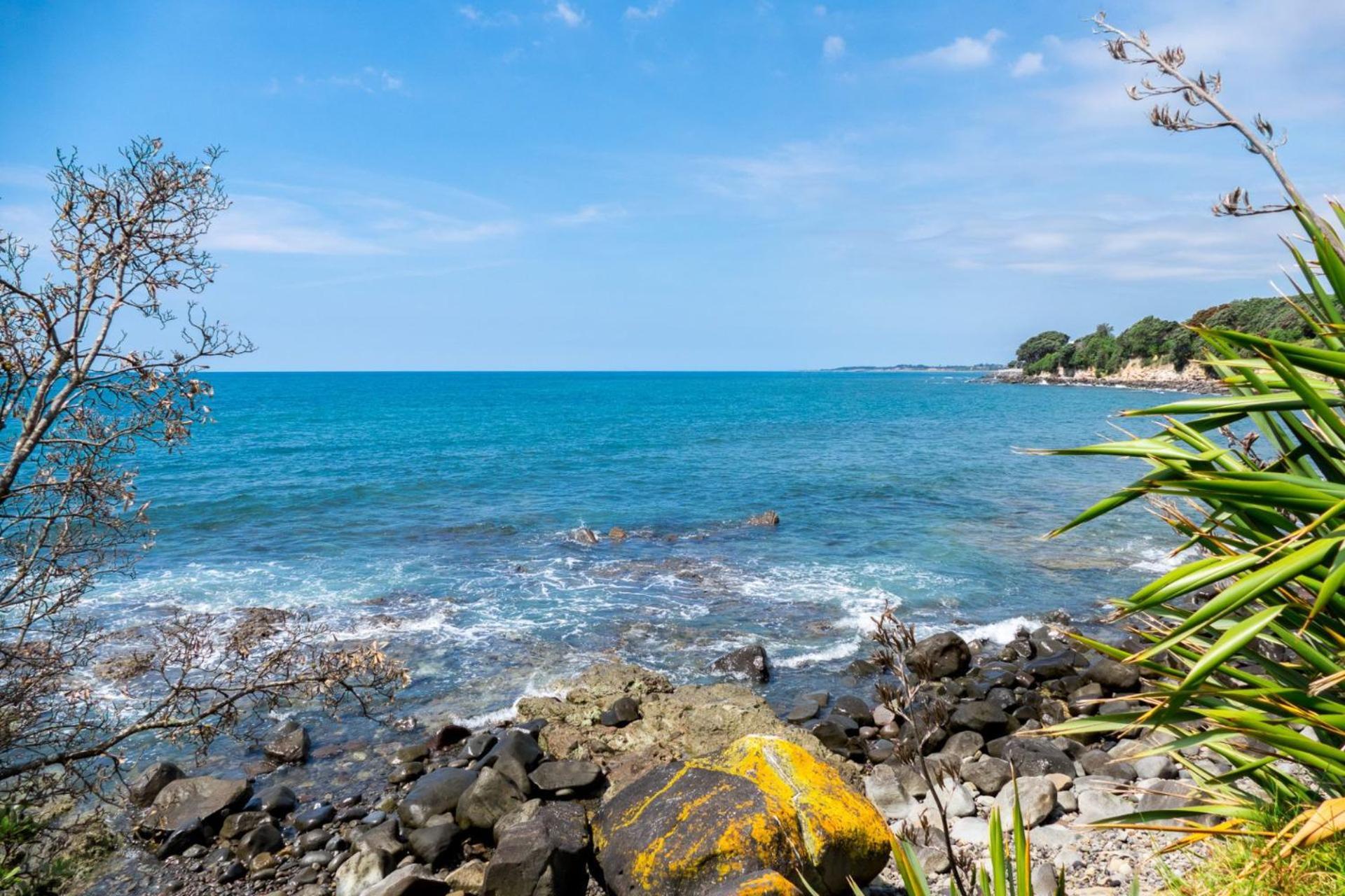 Villa Sea Breeze On Belt - By Coastal Walkway New Plymouth Exterior foto