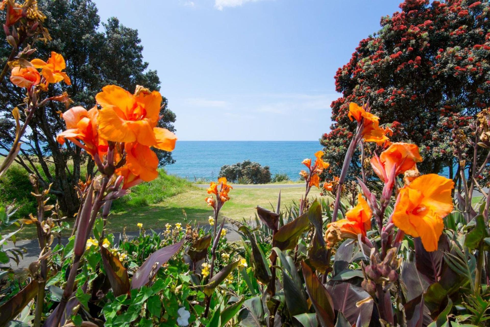 Villa Sea Breeze On Belt - By Coastal Walkway New Plymouth Exterior foto